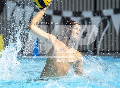 Thumbnail 3 in Burroughs @ Crespi photogallery.