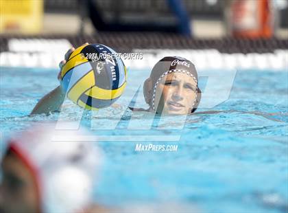 Thumbnail 2 in Burroughs @ Crespi photogallery.