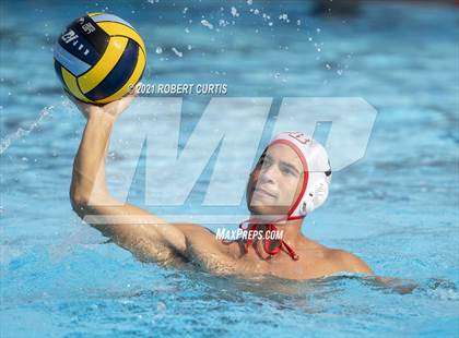 Thumbnail 1 in Burroughs @ Crespi photogallery.