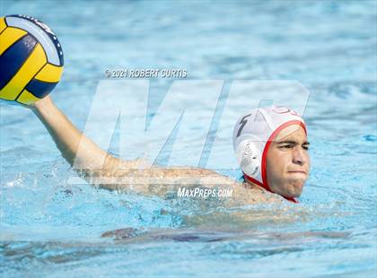 Thumbnail 3 in Burroughs @ Crespi photogallery.