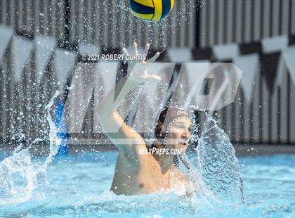 Thumbnail 2 in Burroughs @ Crespi photogallery.