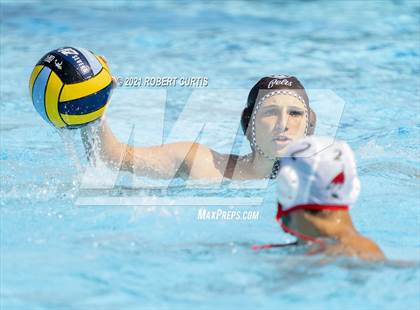 Thumbnail 3 in Burroughs @ Crespi photogallery.