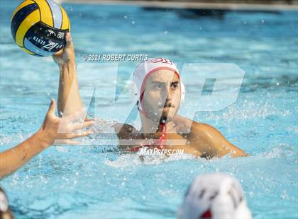 Thumbnail 3 in Burroughs @ Crespi photogallery.