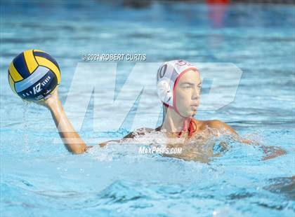 Thumbnail 2 in Burroughs @ Crespi photogallery.