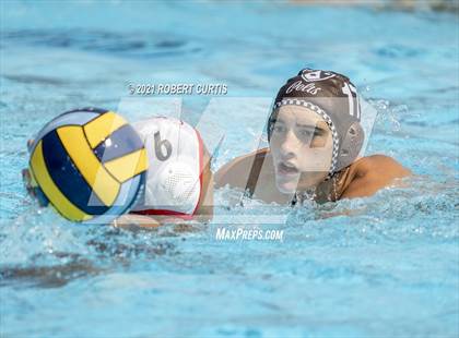Thumbnail 2 in Burroughs @ Crespi photogallery.