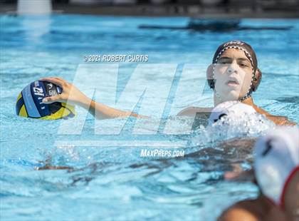 Thumbnail 3 in Burroughs @ Crespi photogallery.