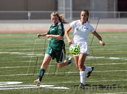 Thumbnail 3 in Colfax vs Placer (CIF SJS D4 Final) photogallery.