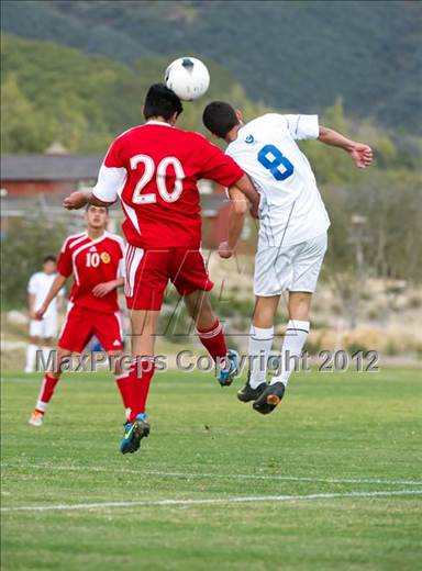 null - Photo 01