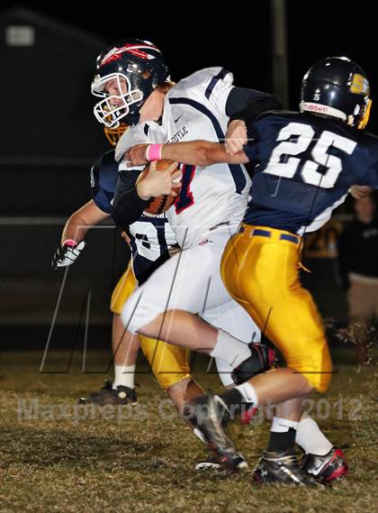 Thumbnail 2 in South-Doyle @ Seymour photogallery.