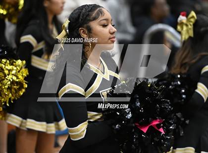 Thumbnail 1 in Knight @ Quartz Hill photogallery.