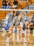 Photo from the gallery "Carnegie Vanguard @ Galena Park"