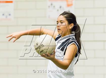 Thumbnail 3 in Potomac Falls @ Langley photogallery.