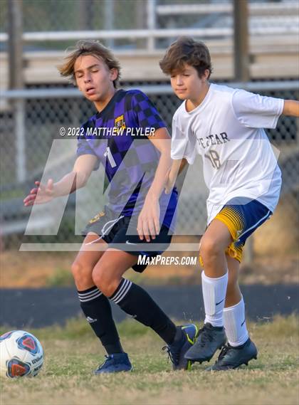 Thumbnail 2 in Cape Fear @ Jack Britt photogallery.