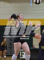 Photo from the gallery "St. John Lutheran @ Forest"