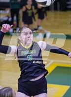 Photo from the gallery "St. John Lutheran @ Forest"