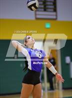 Photo from the gallery "St. John Lutheran @ Forest"