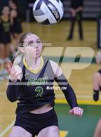 Photo from the gallery "St. John Lutheran @ Forest"