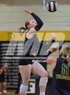 Photo from the gallery "St. John Lutheran @ Forest"