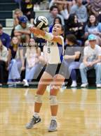 Photo from the gallery "St. John Lutheran @ Forest"