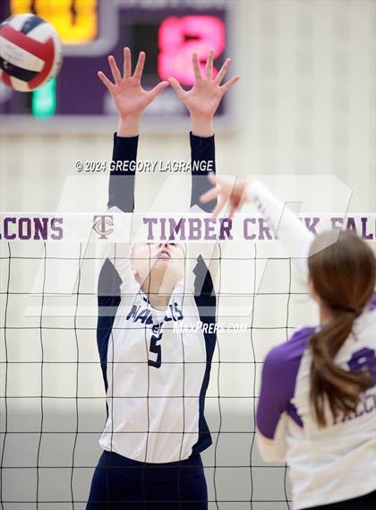 Thumbnail 1 in Memorial vs Timber Creek photogallery.