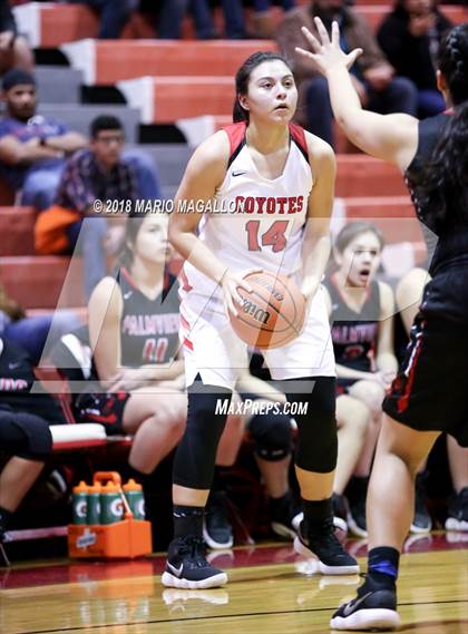 Thumbnail 1 in Palmview @ La Joya photogallery.