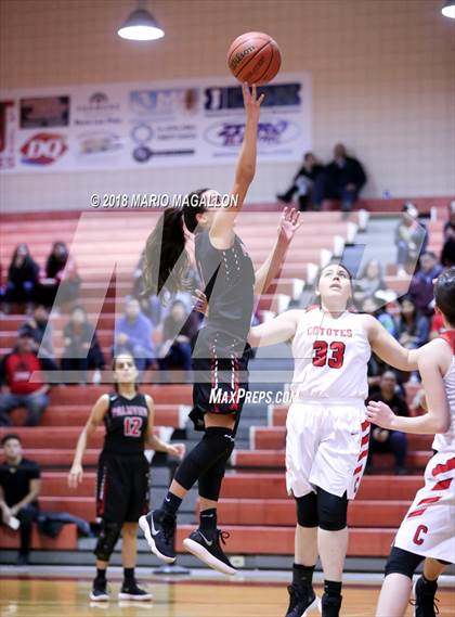 Thumbnail 1 in Palmview @ La Joya photogallery.