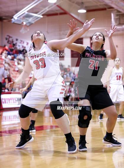 Thumbnail 2 in Palmview @ La Joya photogallery.