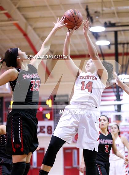 Thumbnail 3 in Palmview @ La Joya photogallery.