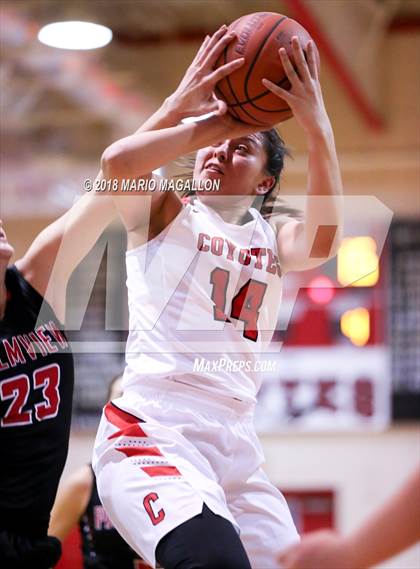 Thumbnail 1 in Palmview @ La Joya photogallery.
