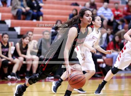 Thumbnail 2 in Palmview @ La Joya photogallery.