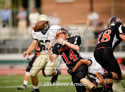 Thumbnail 3 in Needham @ Newton North photogallery.