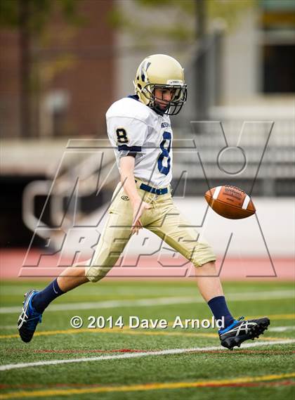 Thumbnail 1 in Needham @ Newton North photogallery.