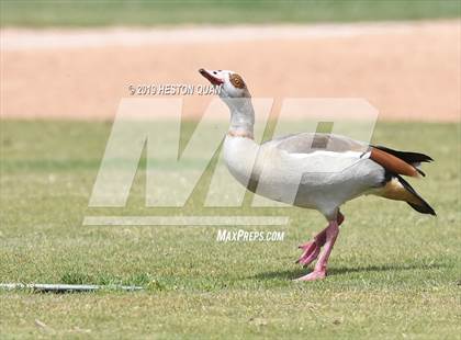 Thumbnail 2 in Capistrano Valley Christian @ Esperanza (Anaheim Lions Tournament) photogallery.
