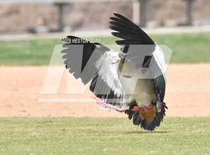 Thumbnail 3 in Capistrano Valley Christian @ Esperanza (Anaheim Lions Tournament) photogallery.