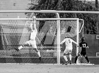 Thumbnail 1 in Chaparral @ Hamilton photogallery.
