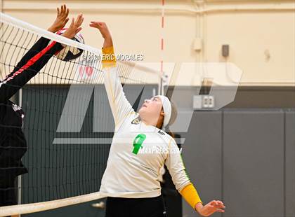 Thumbnail 1 in Hoover vs Holtville (Monte Vista Invitational) photogallery.