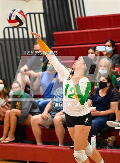 Thumbnail 2 in Hoover vs Holtville (Monte Vista Invitational) photogallery.