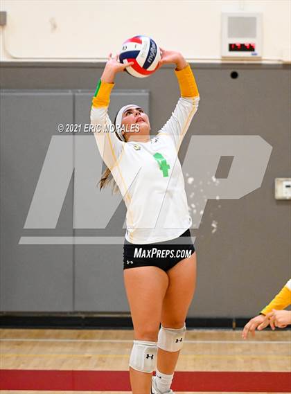 Thumbnail 2 in Hoover vs Holtville (Monte Vista Invitational) photogallery.