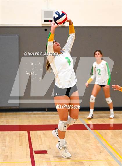 Thumbnail 1 in Hoover vs Holtville (Monte Vista Invitational) photogallery.
