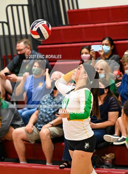 Thumbnail 1 in Hoover vs Holtville (Monte Vista Invitational) photogallery.