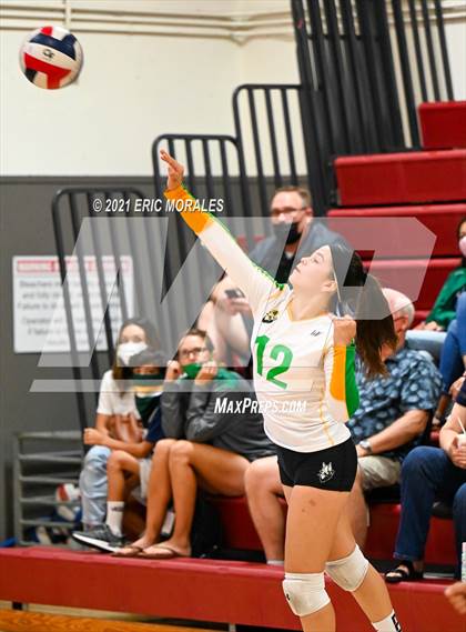 Thumbnail 2 in Hoover vs Holtville (Monte Vista Invitational) photogallery.