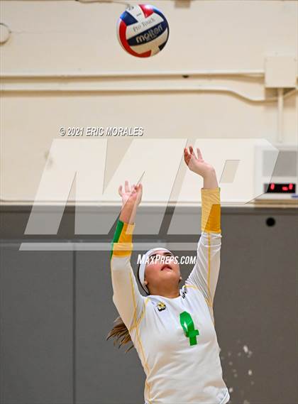 Thumbnail 3 in Hoover vs Holtville (Monte Vista Invitational) photogallery.
