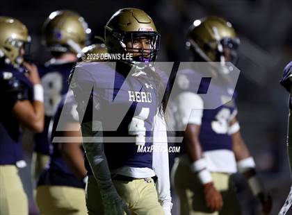 Thumbnail 2 in Chico @ Elk Grove photogallery.