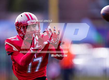 Thumbnail 1 in Xaverian Brothers vs. Everett (MIAA Division 1 Final) photogallery.