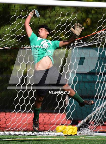Thumbnail 3 in Platt @ Maloney photogallery.