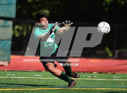 Thumbnail 2 in Platt @ Maloney photogallery.