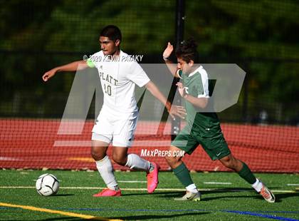 Thumbnail 3 in Platt @ Maloney photogallery.