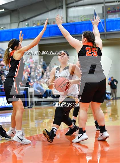 Thumbnail 1 in Charleston vs. Lamar (AAA 3A Regional Playoff) photogallery.