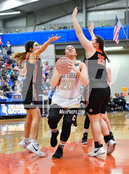 Thumbnail 2 in Charleston vs. Lamar (AAA 3A Regional Playoff) photogallery.