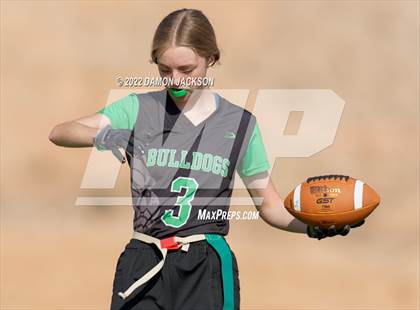 Thumbnail 3 in Virgin Valley vs Foothill (Lady Bulldogs Invitational) photogallery.